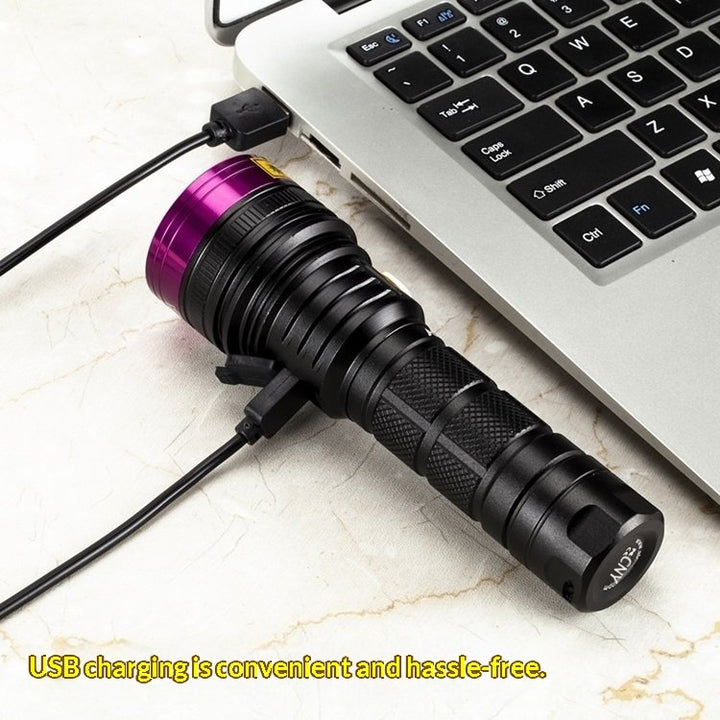 Outdoor UV Flashlight With Purple Light
