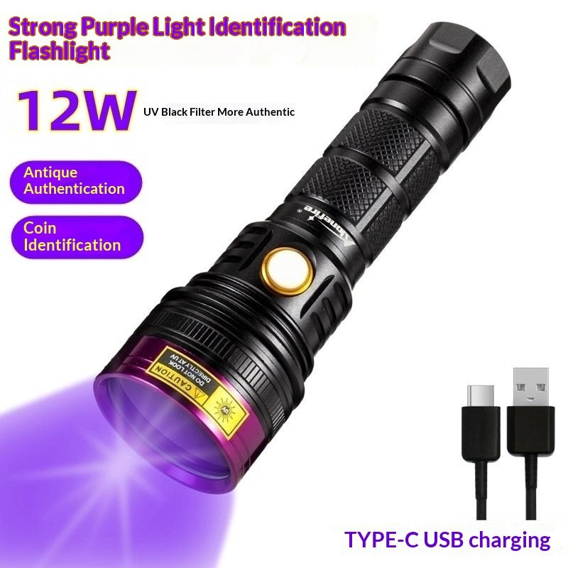 Outdoor UV Flashlight With Purple Light
